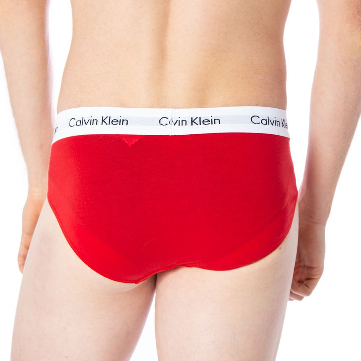 Calvin Klein Underwear Multicolor Cotton Briefs